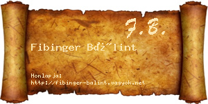 Fibinger Bálint névjegykártya